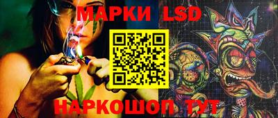 стаф Донецк