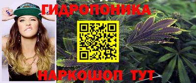 стаф Донецк