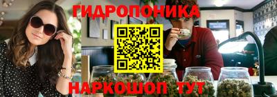 стаф Донецк